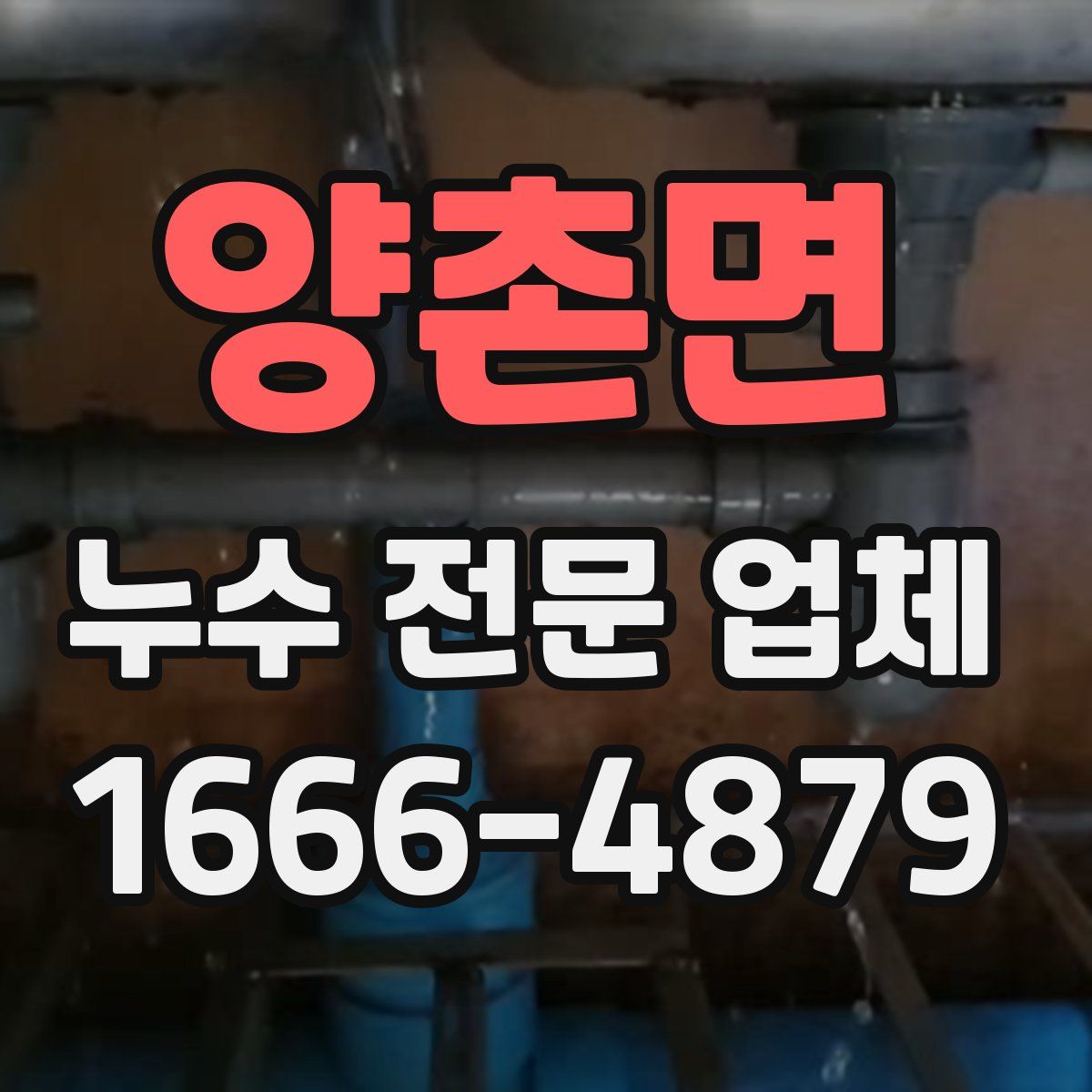 양촌면 누수 전문 업체