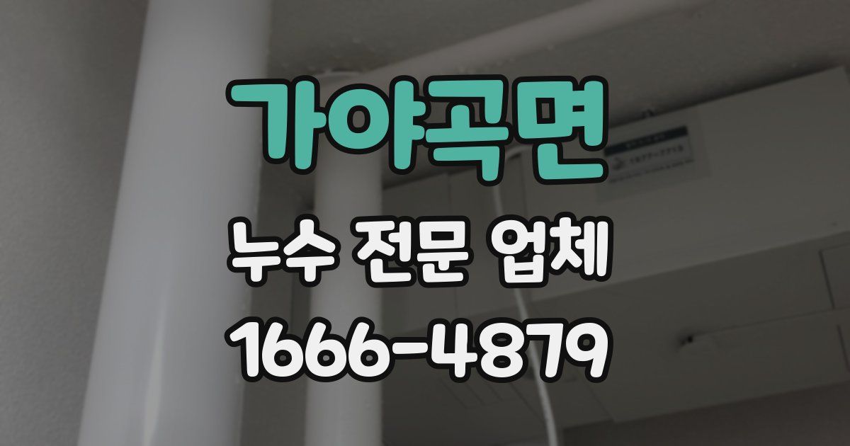 가야곡면 누수 전문 업체