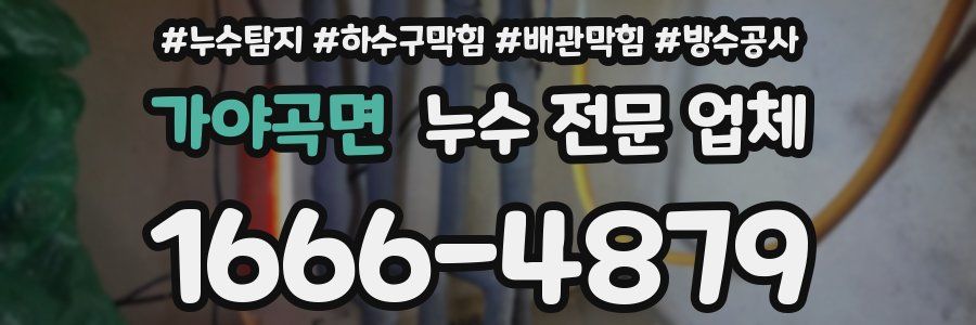 가야곡면 누수 전문 업체