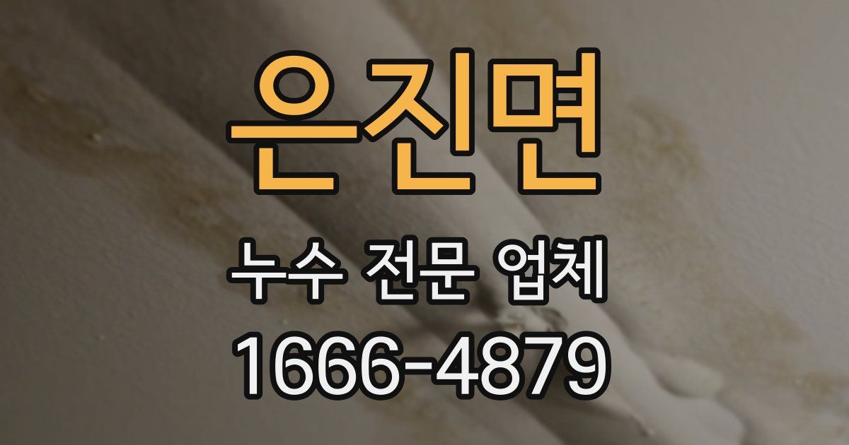 은진면 누수 전문 업체