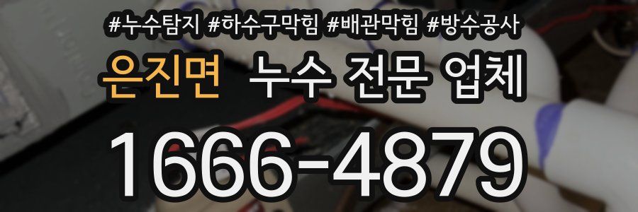 은진면 누수 전문 업체