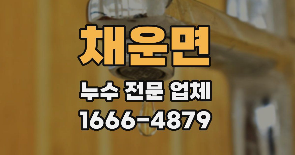 채운면 누수 전문 업체