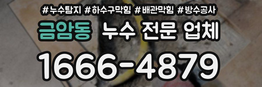 금암동 누수 전문 업체