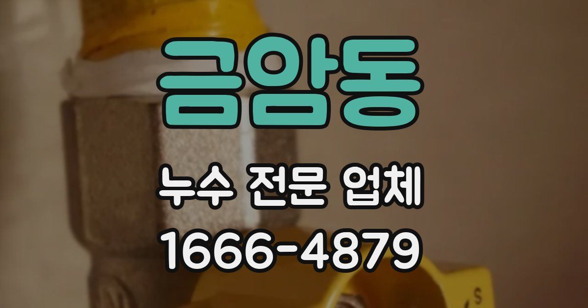 금암동 누수 전문 업체