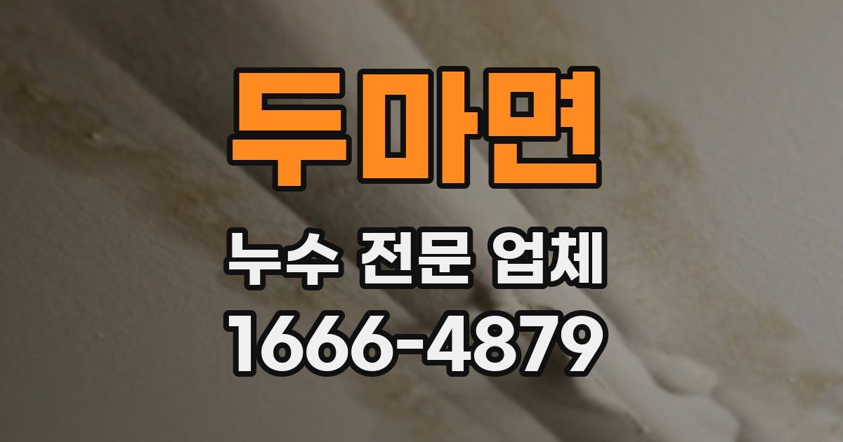 두마면 누수 전문 업체
