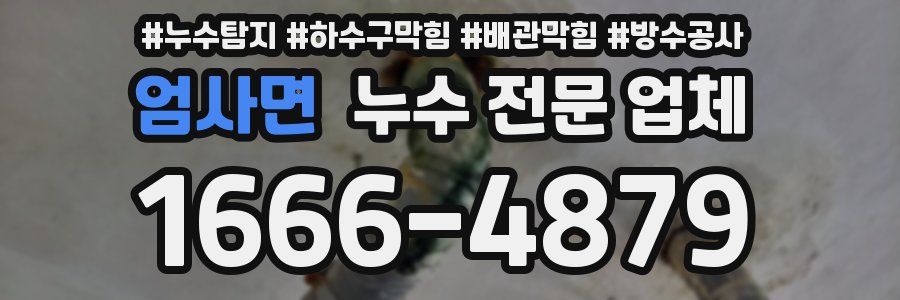엄사면 누수 전문 업체