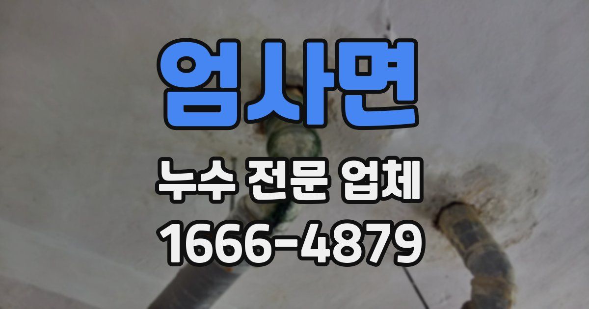 엄사면 누수 전문 업체