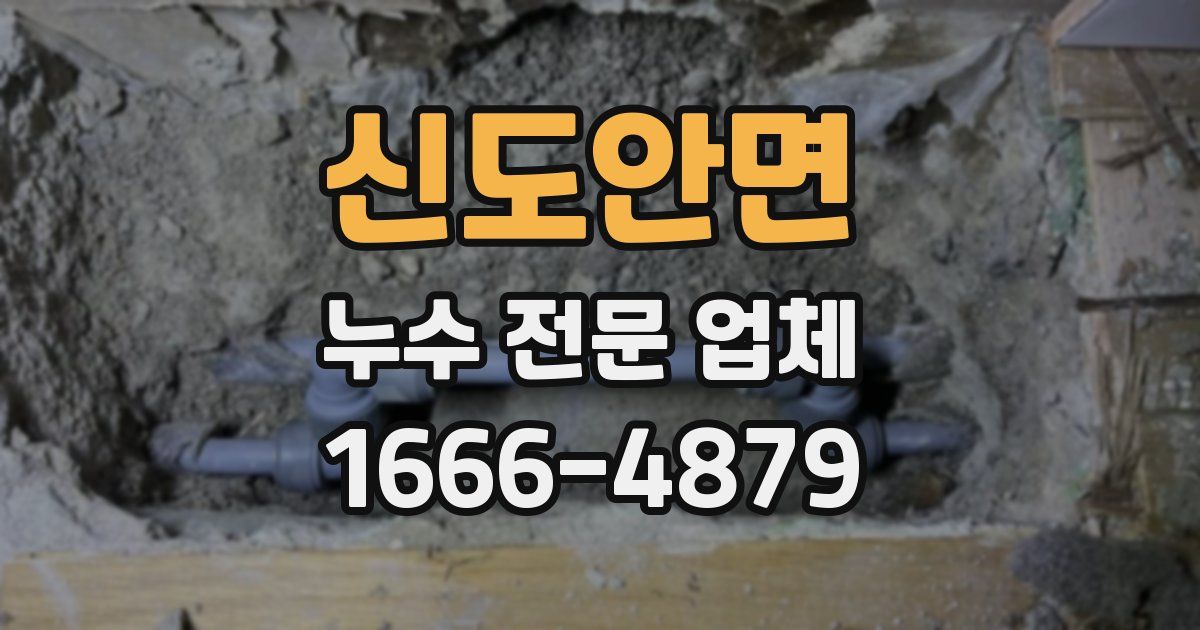 신도안면 누수 전문 업체