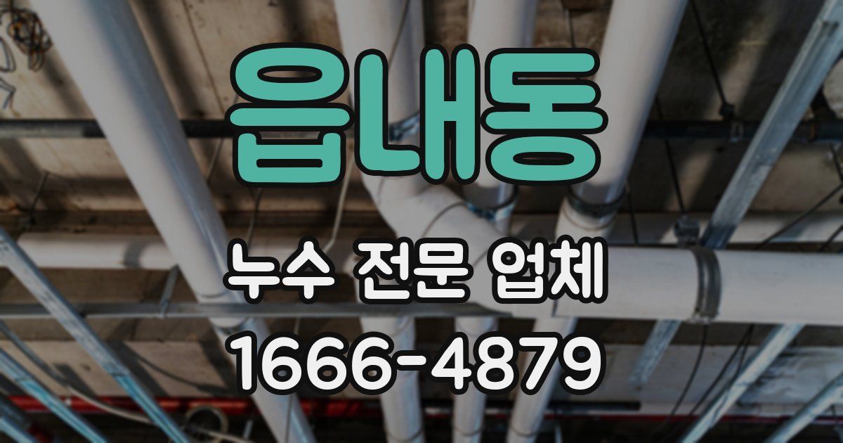 읍내동 누수 전문 업체