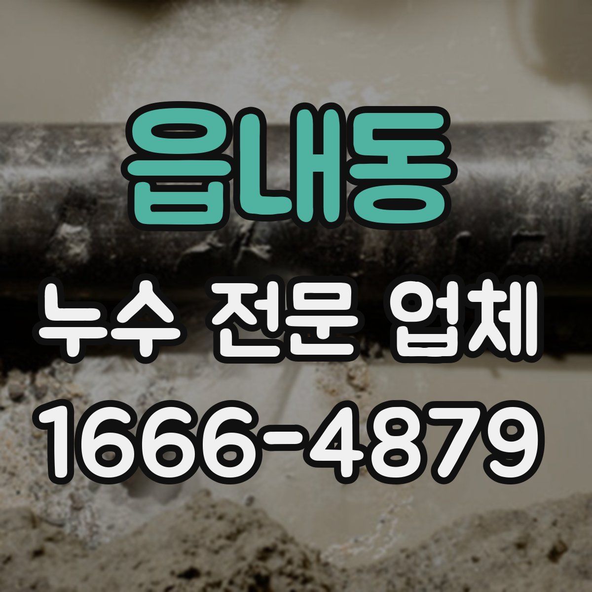 읍내동 누수 전문 업체