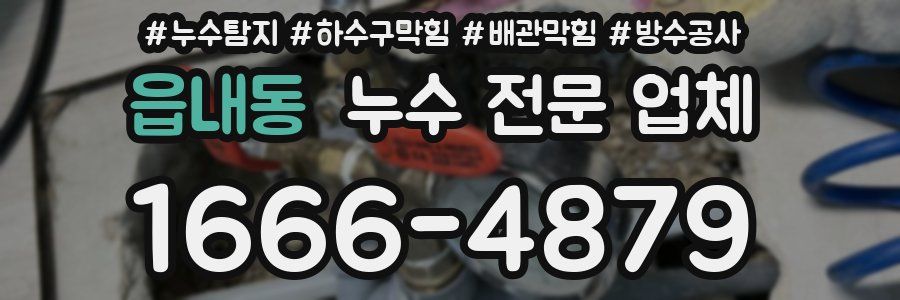 읍내동 누수 전문 업체