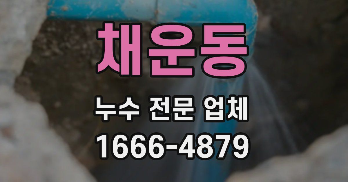 채운동 누수 전문 업체