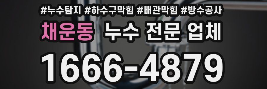 채운동 누수 전문 업체