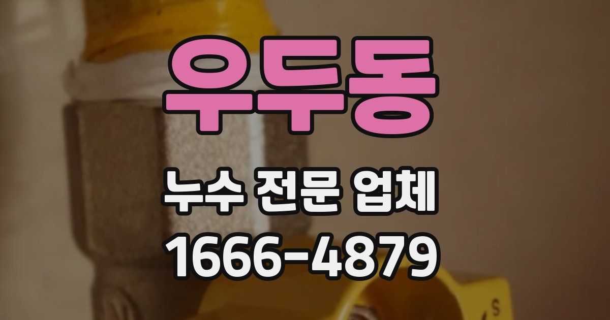 우두동 누수 전문 업체