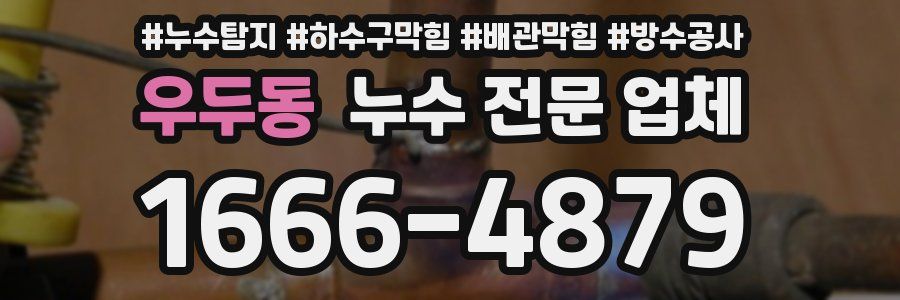 우두동 누수 전문 업체