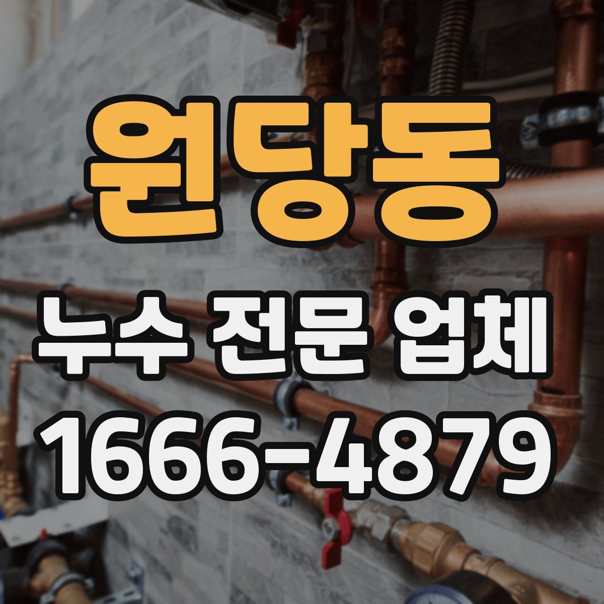 원당동 누수 전문 업체