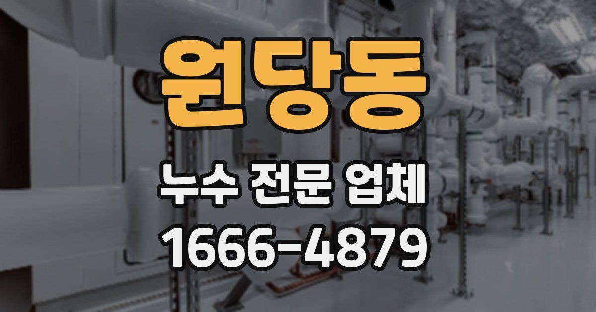 원당동 누수 전문 업체