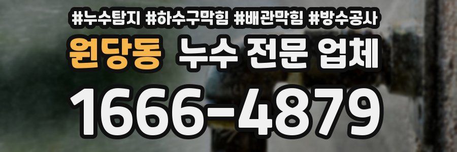 원당동 누수 전문 업체
