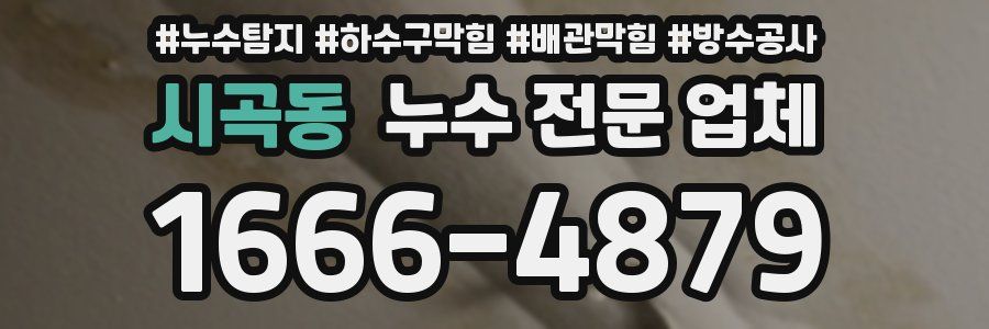 시곡동 누수 전문 업체