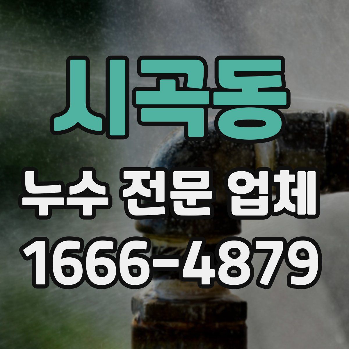 시곡동 누수 전문 업체