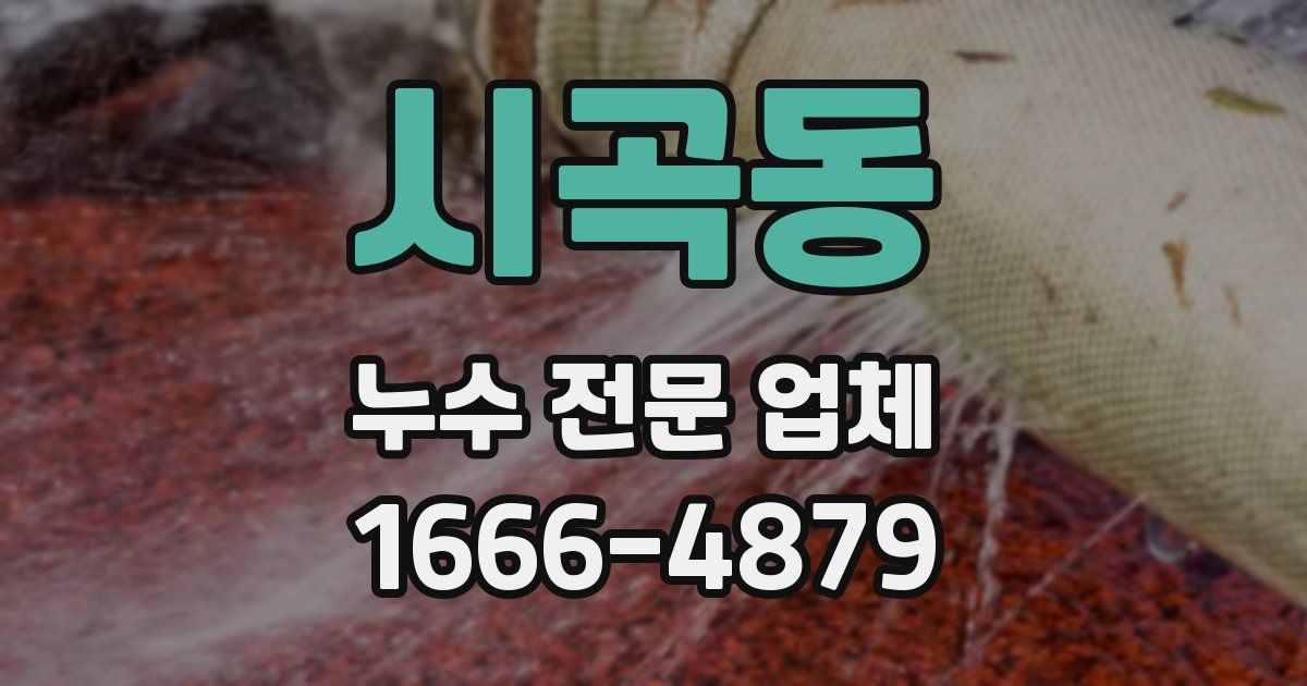시곡동 누수 전문 업체