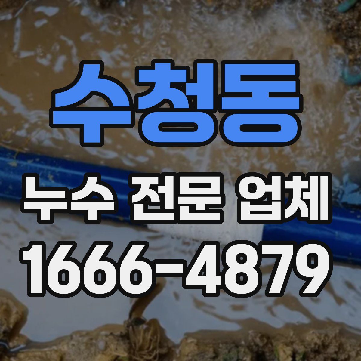 수청동 누수 전문 업체