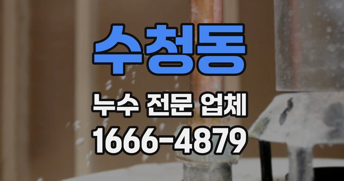수청동 누수 전문 업체