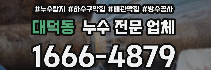 대덕동 누수 전문 업체