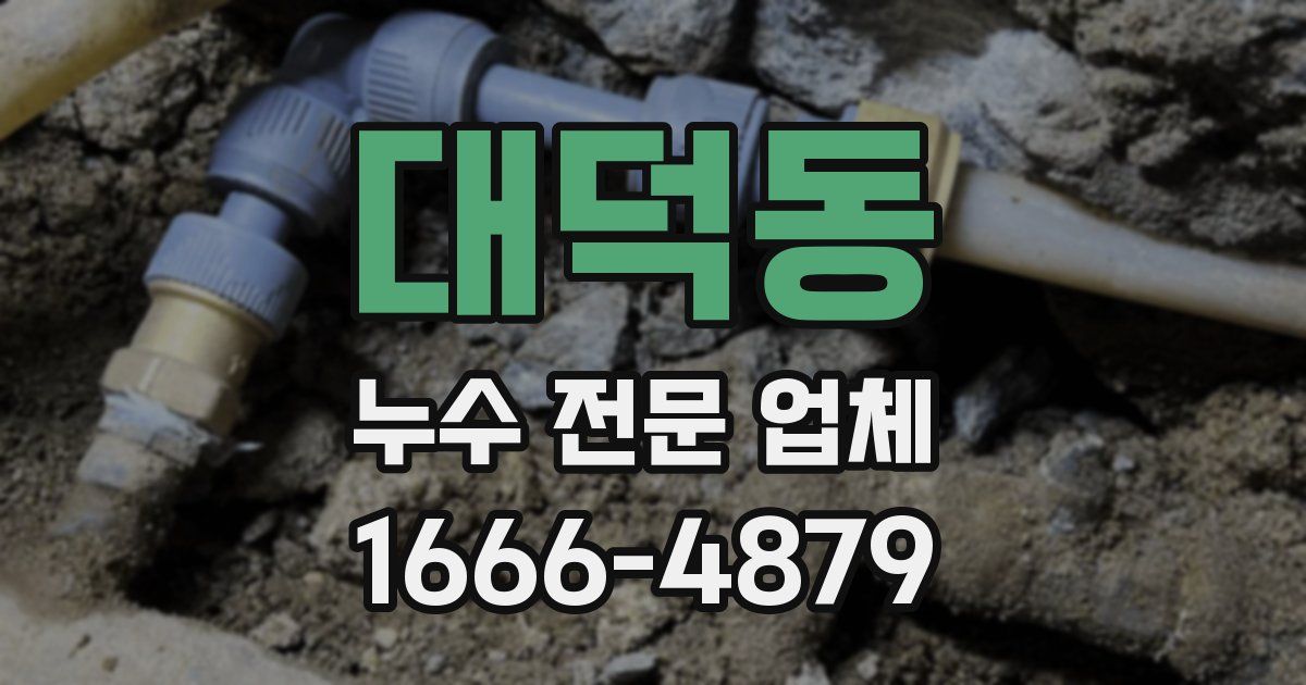 대덕동 누수 전문 업체
