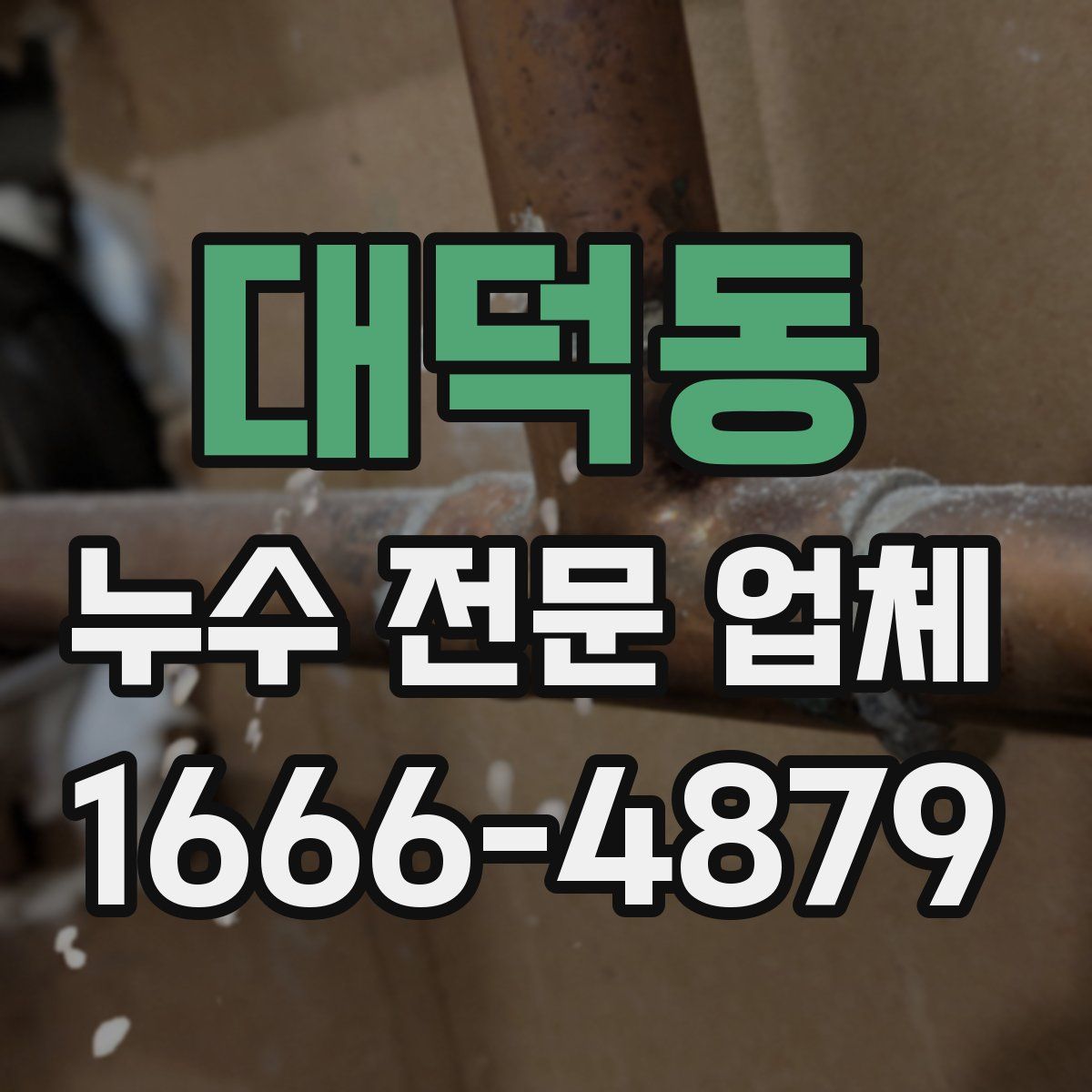 대덕동 누수 전문 업체