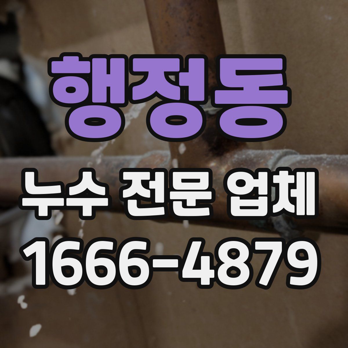 행정동 누수 전문 업체