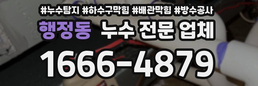 행정동 누수 전문 업체