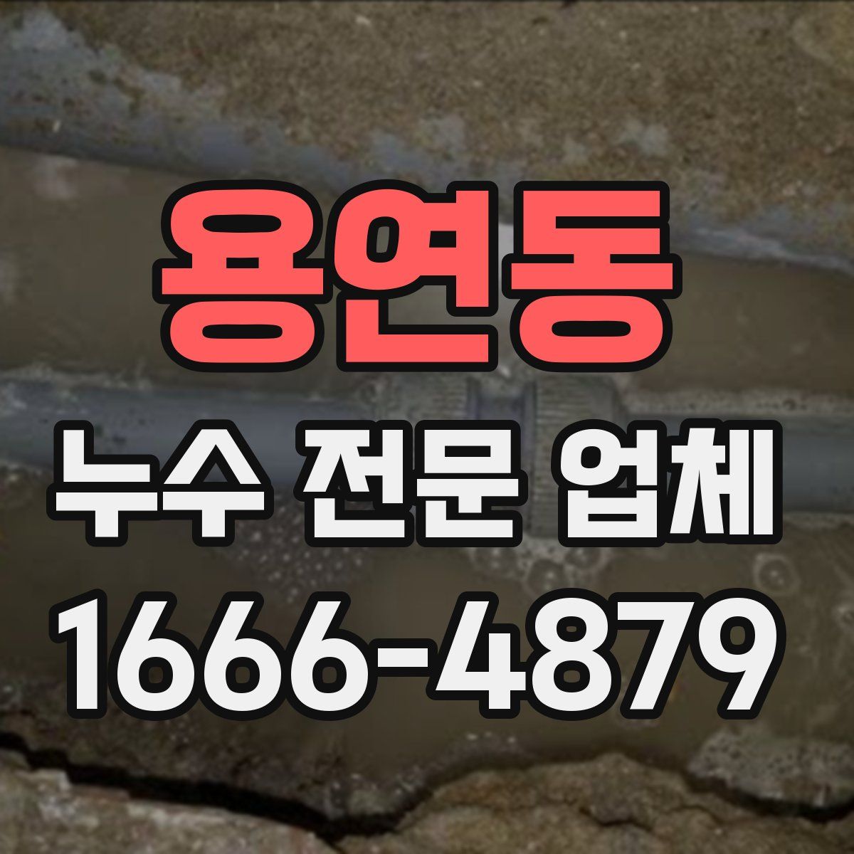 용연동 누수 전문 업체