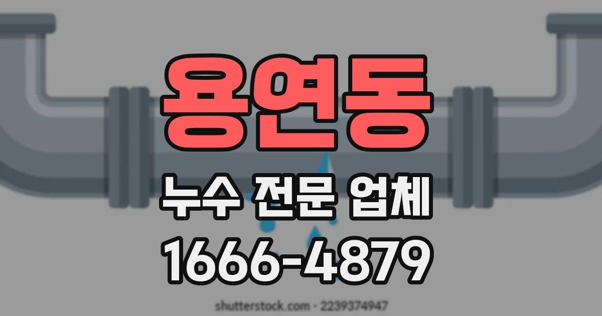 용연동 누수 전문 업체