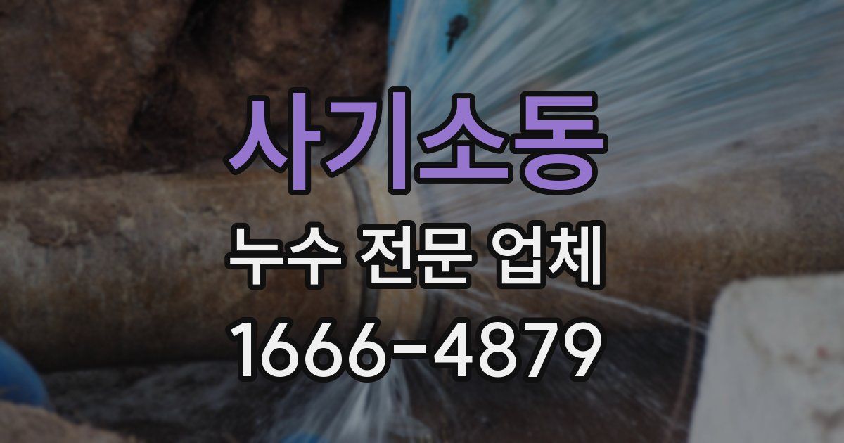 사기소동 누수 전문 업체