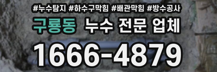 구룡동 누수 전문 업체