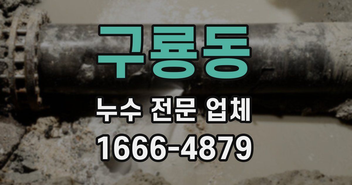 구룡동 누수 전문 업체