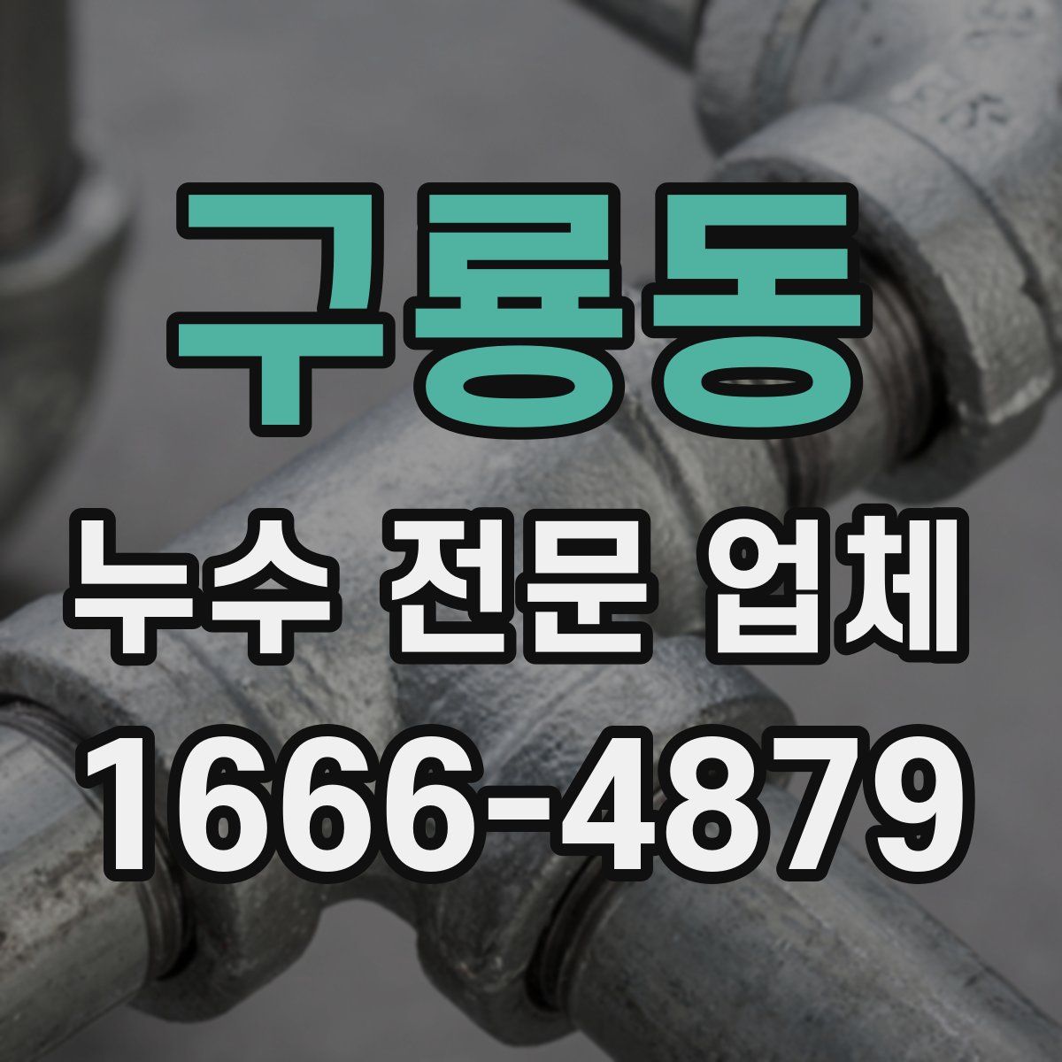 구룡동 누수 전문 업체