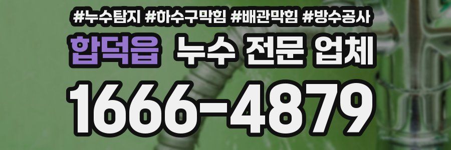 합덕읍 누수 전문 업체