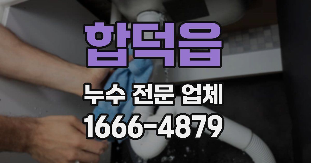 합덕읍 누수 전문 업체