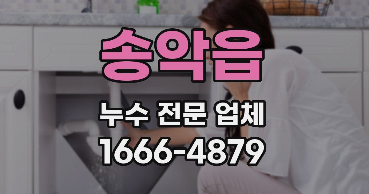 송악읍 누수 전문 업체