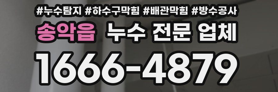 송악읍 누수 전문 업체