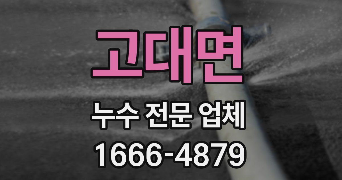 고대면 누수 전문 업체