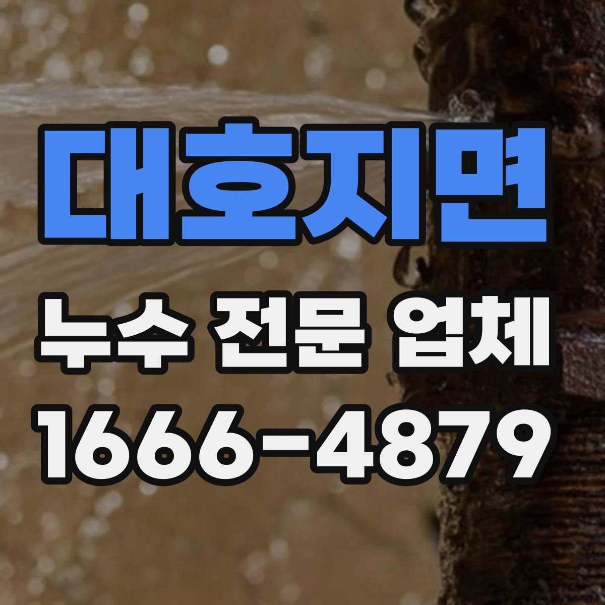 대호지면 누수 전문 업체