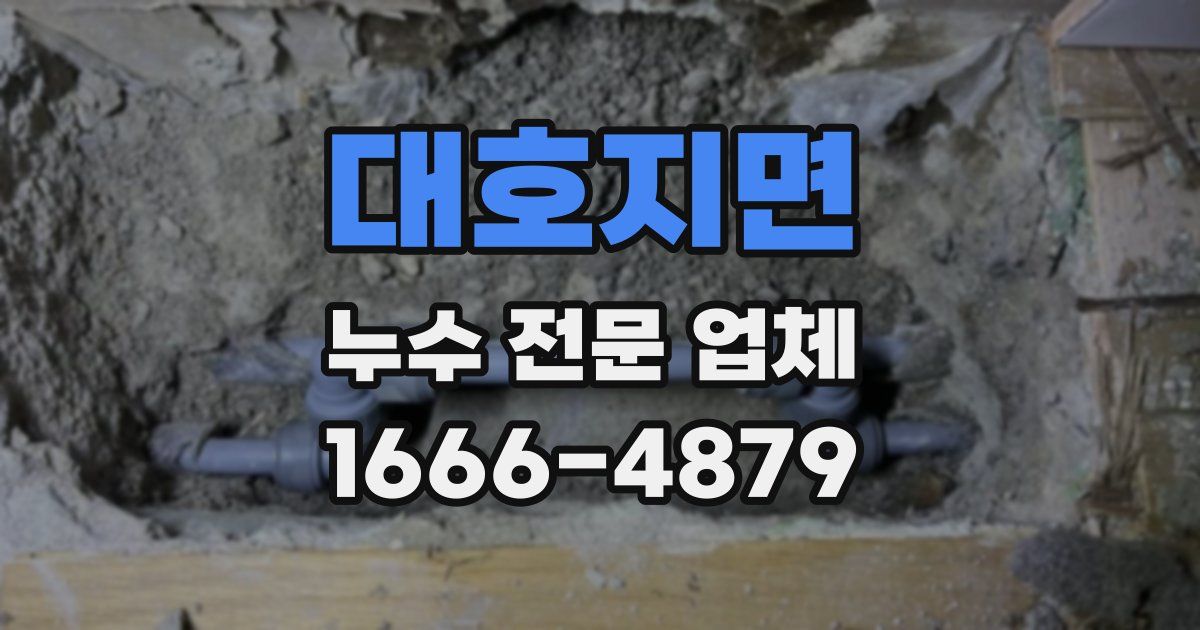 대호지면 누수 전문 업체