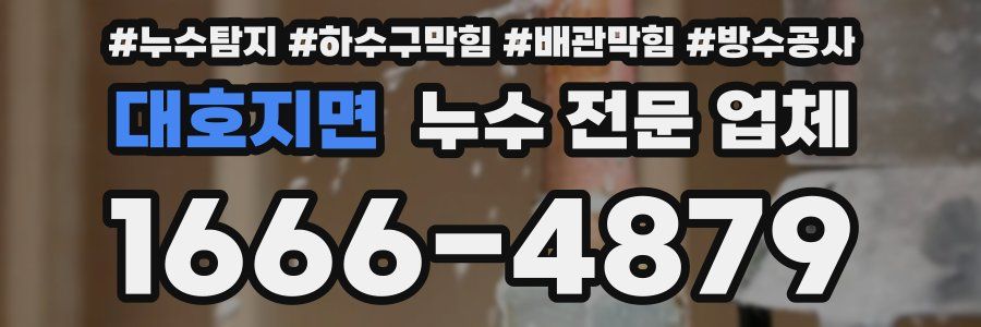대호지면 누수 전문 업체
