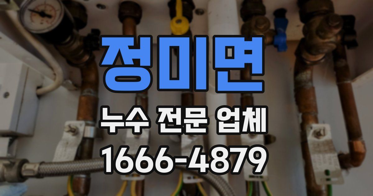 정미면 누수 전문 업체