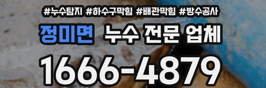 정미면 누수 전문 업체