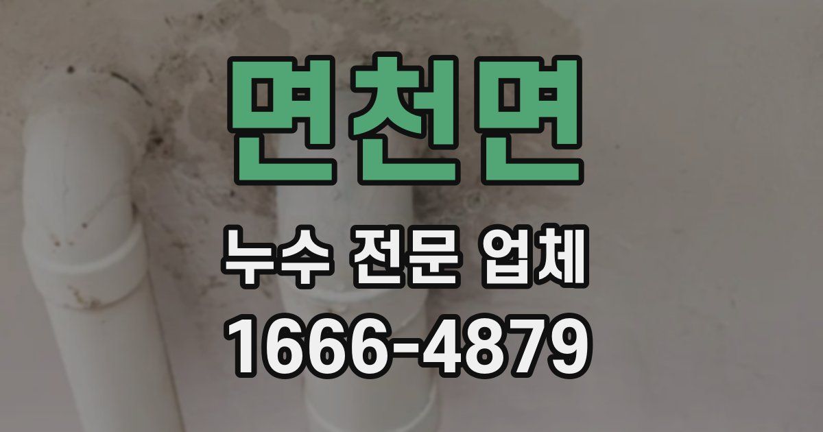 면천면 누수 전문 업체