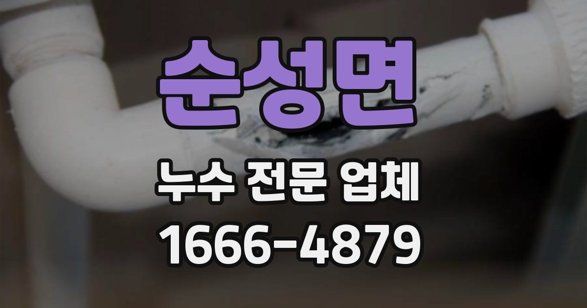 순성면 누수 전문 업체